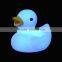 Electronic duck lamp automatic color changed night light LED light