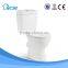 Africa Benin best selling products china supplier toilet P.Strap