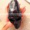 Natural Polished Black Tourmaline Price Stone Skull Crystal Crafts