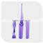 charming outlook design hotel toothbrush travel toothbrush manufacturer