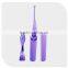 charming outlook design hotel toothbrush travel toothbrush manufacturer