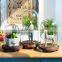 Made in China Wholesale Price Protect Item Decoration Glass Dome with Wood base