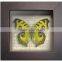 Shabby Chi Glass Printing Wooden Framed With Butterfly