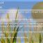 Amino Acid cheltaed Manganese Fertilizer