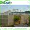 Economical Tunnel Greenhouse