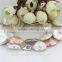 Fashion Colorful Pearl Necklace AA 20mm Coin Pearl Necklace