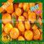 Wholesale Best Price Fresh Citrus Fruit Navel Orang