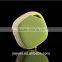 New arrival,Promotional pocket speaker bluetooth gift speaker with phone camera control fuction