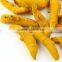 Best quality Bold Turmeric finger exporter