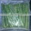 Frozen Fresh Green Asparagus