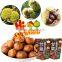 Packaged Nuts and Snacks Organic Roasted Chestnuts