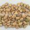 Chinese Broad Beans for hot sale and Green Broad Beans for hot sale to all over the world
