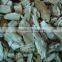 Frozen Mushroom Boletus Edulis