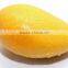 GMP Natural High Quality Mango fruit Powder/Mango Extract Powder