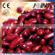 high Quality Red Kidney beans/sugar beans exporter