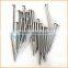 Manufacture high quality low price common iron nail and steel nail make machine factory