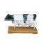 Vivid Education Animal Anatomical Plastic Model Cow