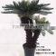 1071-33A artificial garden cycads tree