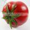 artificial plastic tomato for decoration fake vegetable