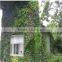 China wholesale artificial plant wall manufacturer foliage plants wall green wall fake plants insulation