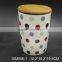 Promotion Colorful Small airtight Ceramic Spice Jar