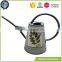 Cheap metal Printed garden watering can