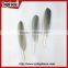 50pcs Home Decorative Dyed Natural Grey Dyed Goose Feathers Sale