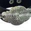 Factory supplier korean retro bracelets,handcraft cow leather bangle,unisex leather bracelets