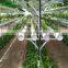 China Cheapest Garden Greenhouses/Hydroponics Systems/Grow Tent