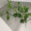 perforated metal facades cladding