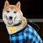 2020 amazon hot sale  factory supply flashing pet collar lights other pet products