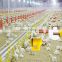 Cost-effictive chicken breeding system automatic poultry farm equipment