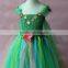 New Elsa Dress With Cape Fabric Green Color Tulle Tutu Dress