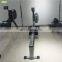 Professional Cardio Steel Shandong Multi station Air Rower rowing machine running shoulder press machine curve fitness treadmill home gym equipment online