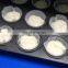 Industrial PLC Control Cookie Forming Machine and Cake Filling Machine