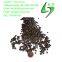 China Factory Supply High Quality Gold Coconut Shell Activated Carbon for Gold Extracting