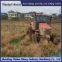 Customized triangular track chassis for tractors for deep plowing operations to increase power