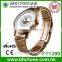 FT1390 Wholesale japan pc21 movement fashion watches men metal