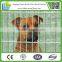  China - High quality cheap price Heavy-duty Chainlink Dog Kennel VALUE KEN 6ftx8ftx4ft