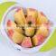 TPR Skidproof Handle Zinc Alloy Apple Slicer Food Slicer Blade