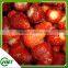 2016Crop Iqf Strawberries Honey