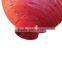 Waterproof Red Outdoor Chinese New Year Lantern