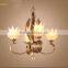 Special Metal Iron Chandelier Pendant lighting