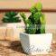China supplier wholesale high simulation artificial cactus/succulent plant for table decoration