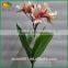 Artificial Real Touch Plumeria Flowers for Decoration