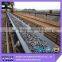 nylon(nn125) china manufacture export conveyor belting