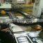 Auto assembly line flexlink conveyor system