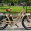CE Certification Electric bike with fat tyres for snowy road