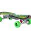 200w brushless electric skateboard with wireless remote control