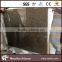 Popular Tropic Brown Granite 3cm Countertop